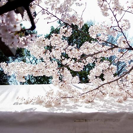 Tora Hotel Tokyo-Kitaueno 寅ホテル北上野 Exterior foto